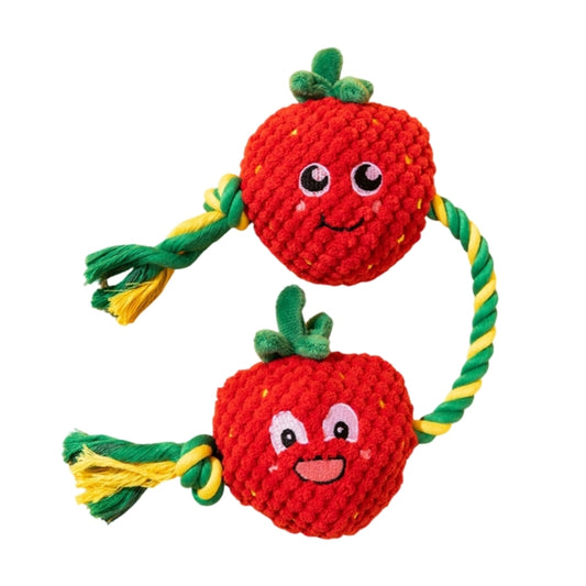 Squeaky Fruit Toy