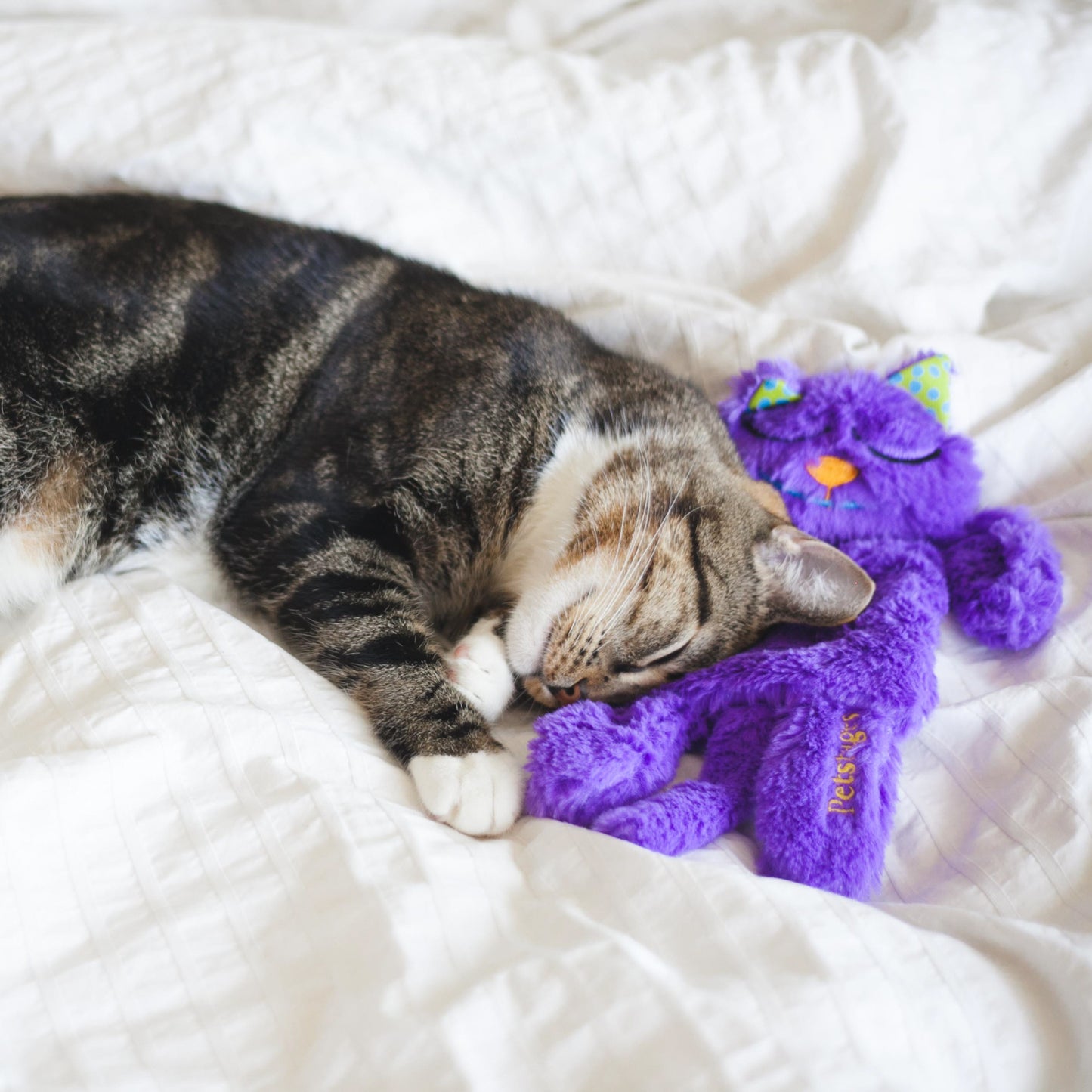 Purring Comfort Pillow