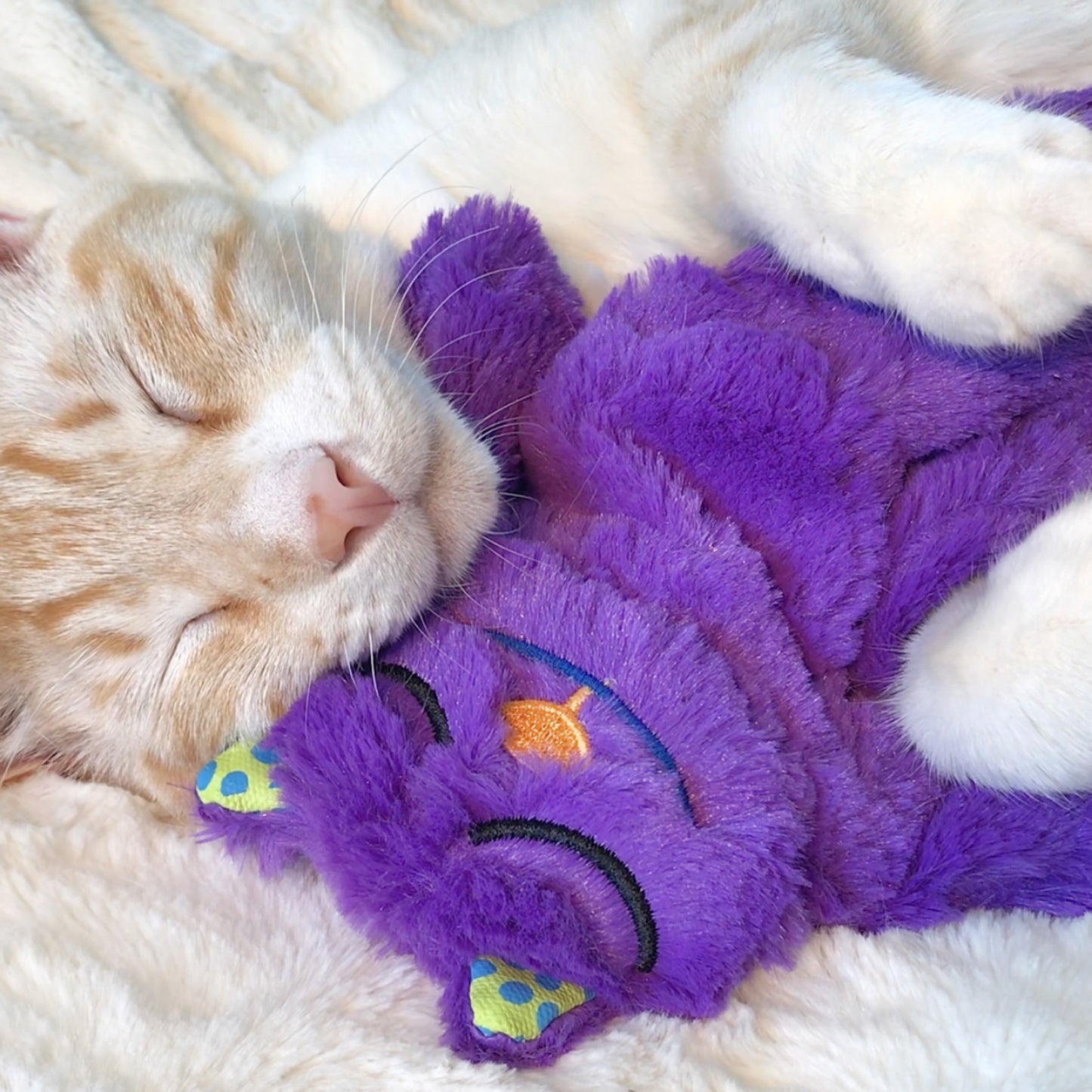Purring Comfort Pillow
