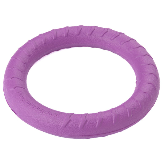 Ring Active Toy