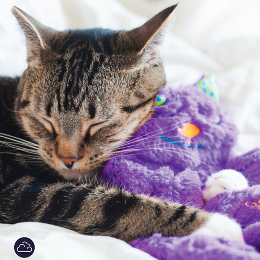 Purring Comfort Pillow