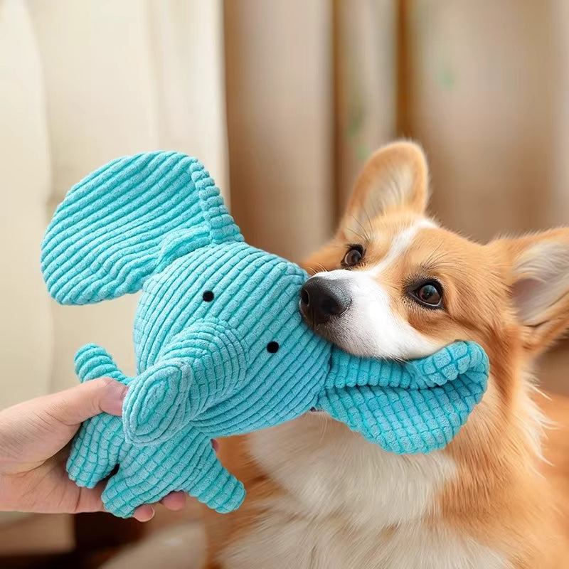 Crinkle Plush Dog Toy