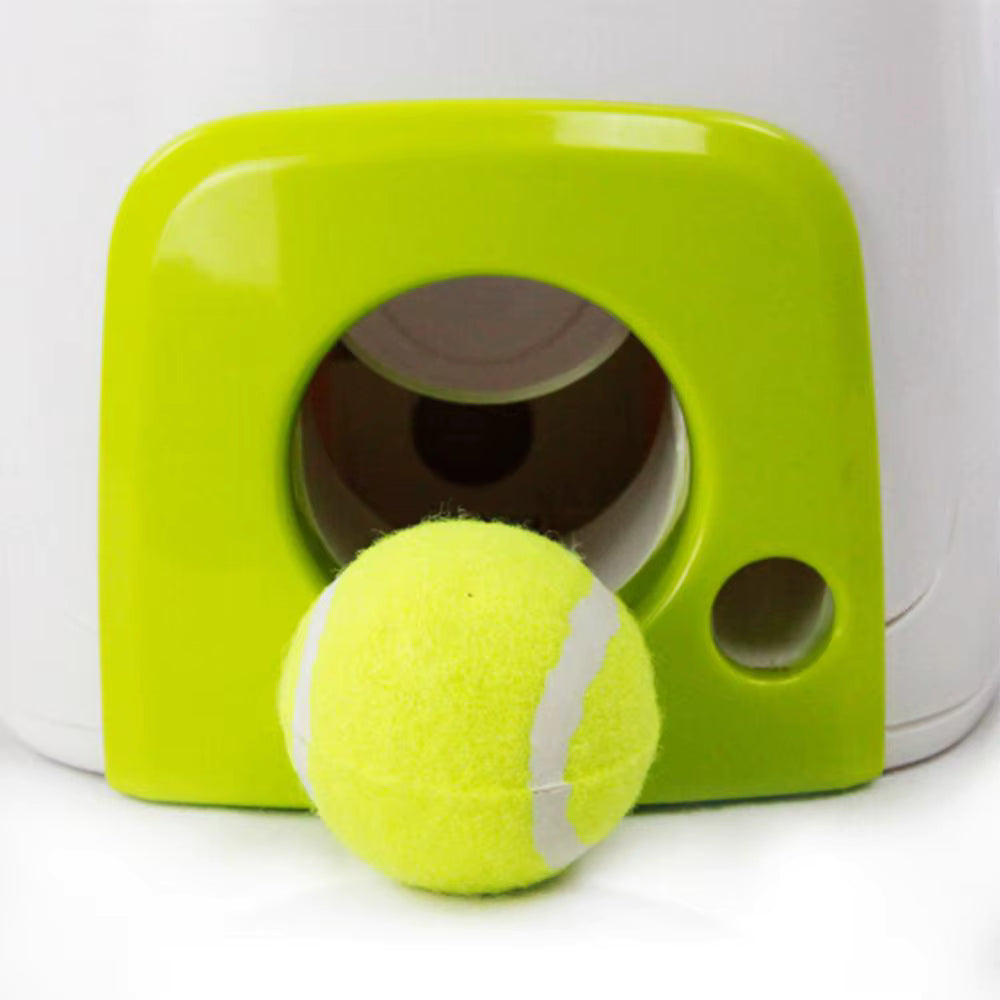 Tennis Dumbbell Fetch Toy