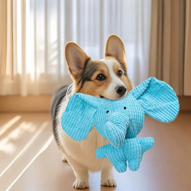 Crinkle Plush Dog Toy